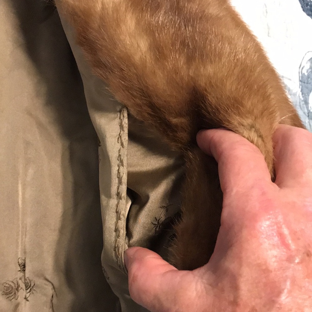 Fur cape - Picture 6 of 10
